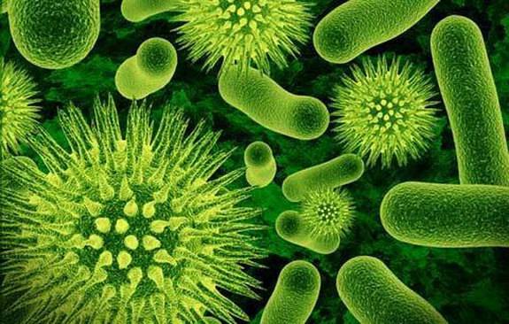 Antibiotic-Resistant Bacteria Might Be Tackled With A New Antibiotic The British Scientists Created