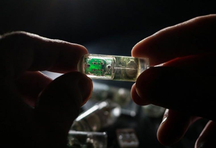 MIT Researchers Developed A Biosensor Able To Diagnose Digestive Diseases