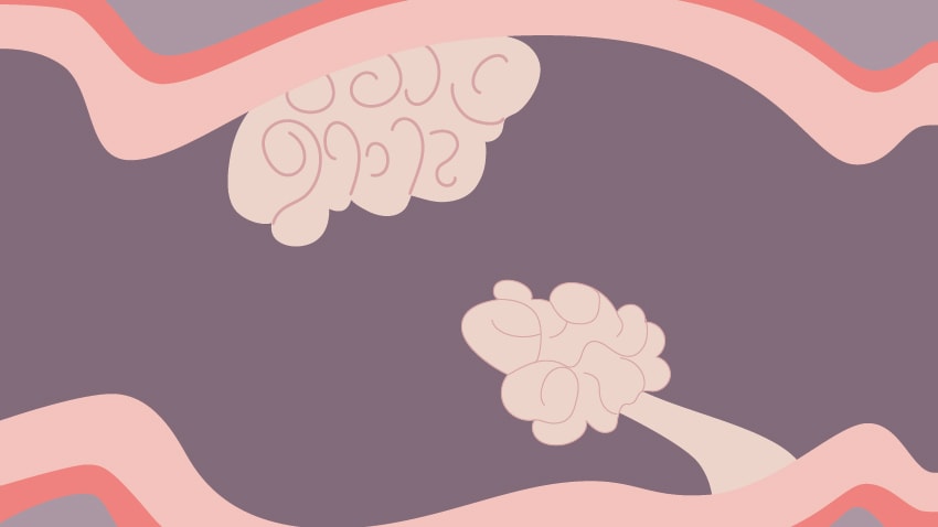 Colorectal Cancer Cells Change The Signaling Pathways To Evade Treatments And Continue To Progress
