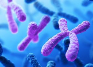 Genetic Diversity Collapse In Y-Chromosomes In Ancient Humans Linked To Social Changes And Wars
