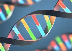 Genetic Diversity Is Minimal, At Only 0.1%, In Humans And 90% Of Animal Species, As Well