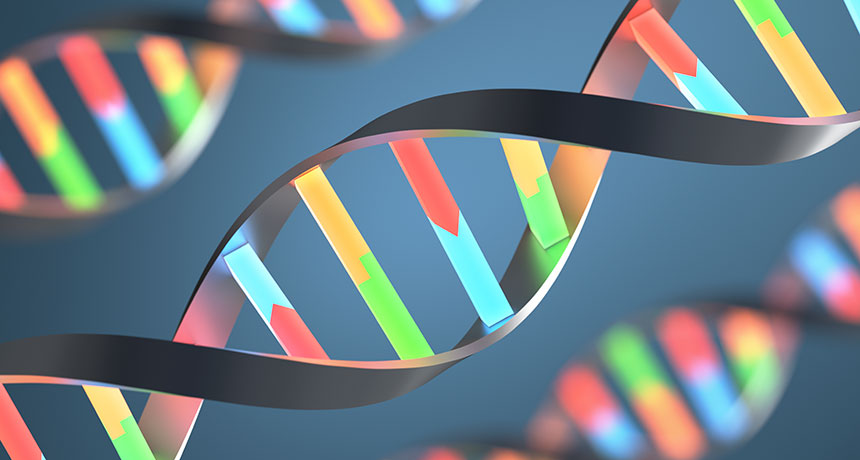 Genetic Diversity Is Minimal, At Only 0.1%, In Humans And 90% Of Animal Species, As Well