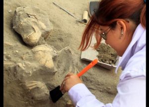 Hepatitis B Virus Has Been Sampled From Humans Remnants Of 4,500-Year-Old