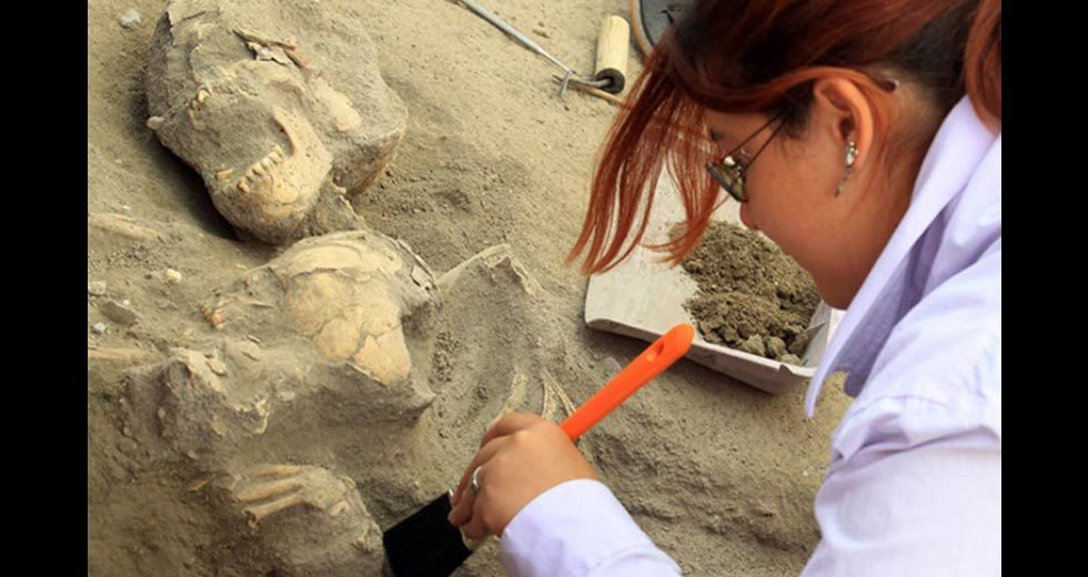 Hepatitis B Virus Has Been Sampled From Humans Remnants Of 4,500-Year-Old