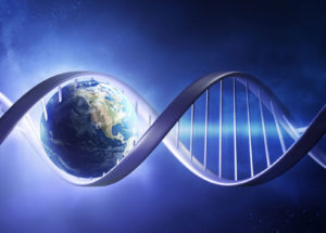 Humans Account For Only 0.01% Of All Life On Earth But Reduced Other Species Proliferation