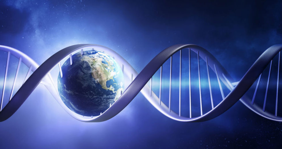 Humans Account For Only 0.01% Of All Life On Earth But Reduced Other Species Proliferation