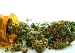 Medical Marijuana, Recommended By The US Oncologists, Although They’re Not Sufficiently Informed On Cannabis