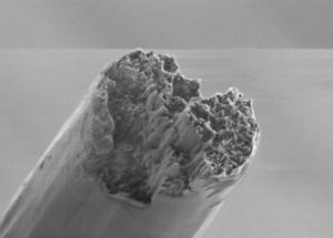 The World’s Most Resistant Biomaterial Has Been Produced Using Cellulose Nanofibers