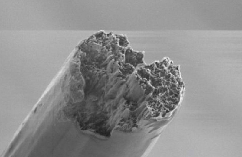 The World’s Most Resistant Biomaterial Has Been Produced Using Cellulose Nanofibers