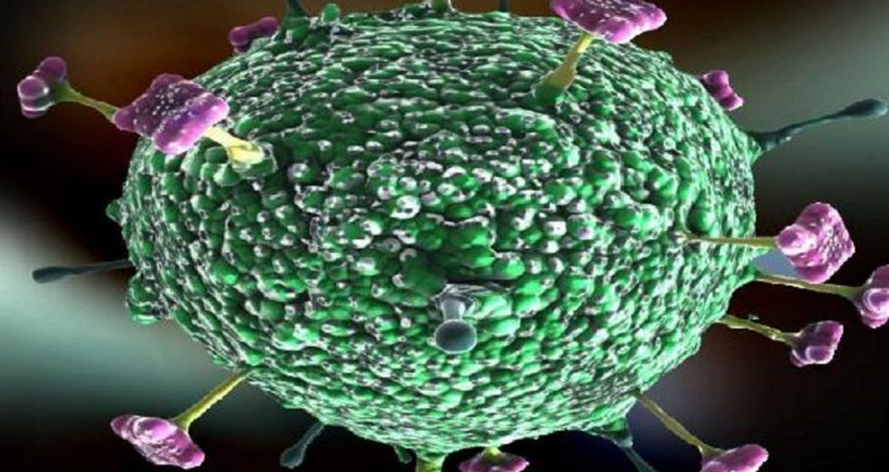 Nipah Virus Has No Cure, Is Very Virulent, And May Cause A Global Pandemic, Said The WHO