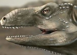 A New Prehistoric Reptile Species That Lived About 240 Million Years Ago Has Been Unearthed
