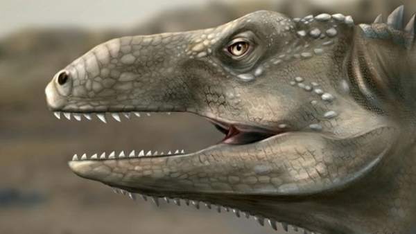 A New Prehistoric Reptile Species That Lived About 240 Million Years Ago Has Been Unearthed