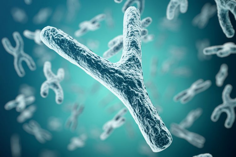 Acute Myeloblastic Leukemia Remedy Might Be Linked With The UTY Gene, A Males-Specific Gene