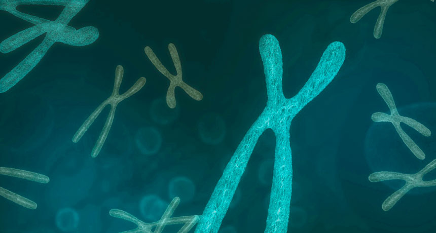 Alzheimer’s Disease Is More Prevalent In People With Down Syndrome Due To Chromosome 21 Extra Genes