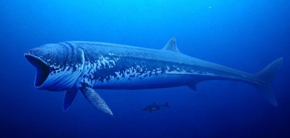 Canadian Researchers Studied An Ancient Fish To Explain Why There Aren’t Huge Fish Nowadays