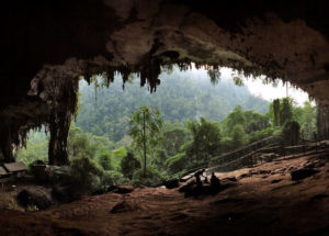 A 30,000-Year-Old Jawbone Found In Niah Cave, Southeast Asia, Revealed Ancient Humans’ Dietary Habits