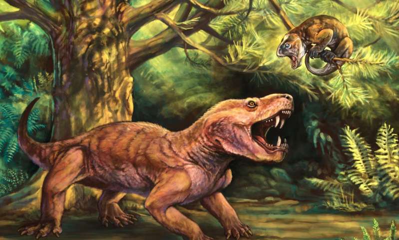 Permian Protomammals Ancient Saber-Toothed Predators Reveal More About Mammals’ Evolution