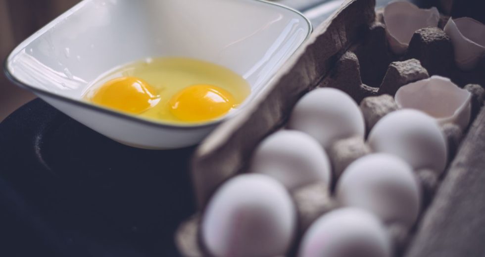 Salmonellosis – How To Avoid Contracting Salmonella?