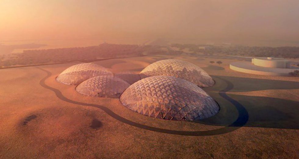 Sea-Dwelling Bacteria Could Help Humans Breathe on Mars