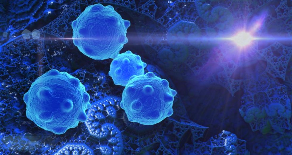 Targeted Cancer Therapies Have Been Developed And Are More Successful Than Traditional Treatment