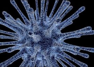 WHO Is Concerned About Nipah Virus, As It Might Become The “Disease X”