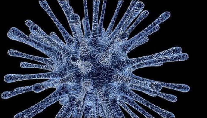 WHO Is Concerned About Nipah Virus, As It Might Become The “Disease X”