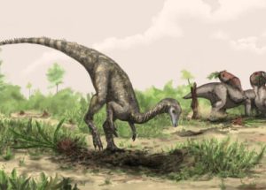 New Dinosaur Discovery in China