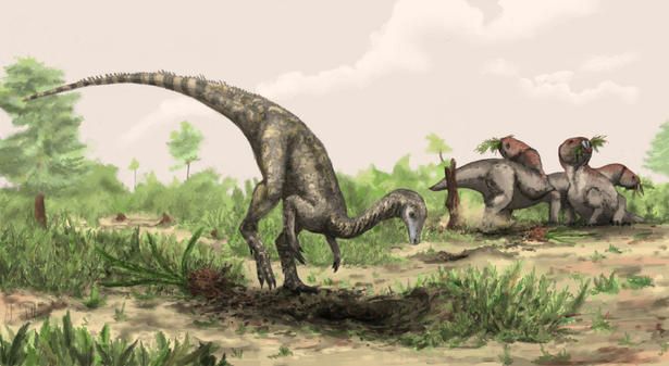 New Dinosaur Discovery in China