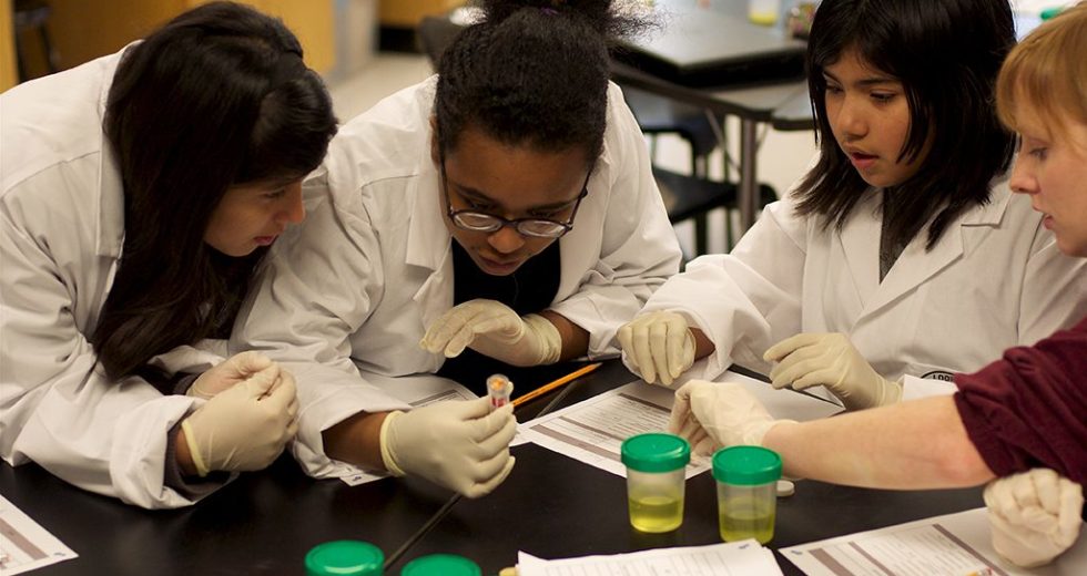 Young Students’ Experiment Project Became So Successful That It Was Sent To The ISS