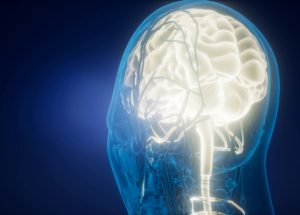 Genetic Makeup And Individual Life Experiences Produce A Unique Brain Anatomy Like Fingerprints