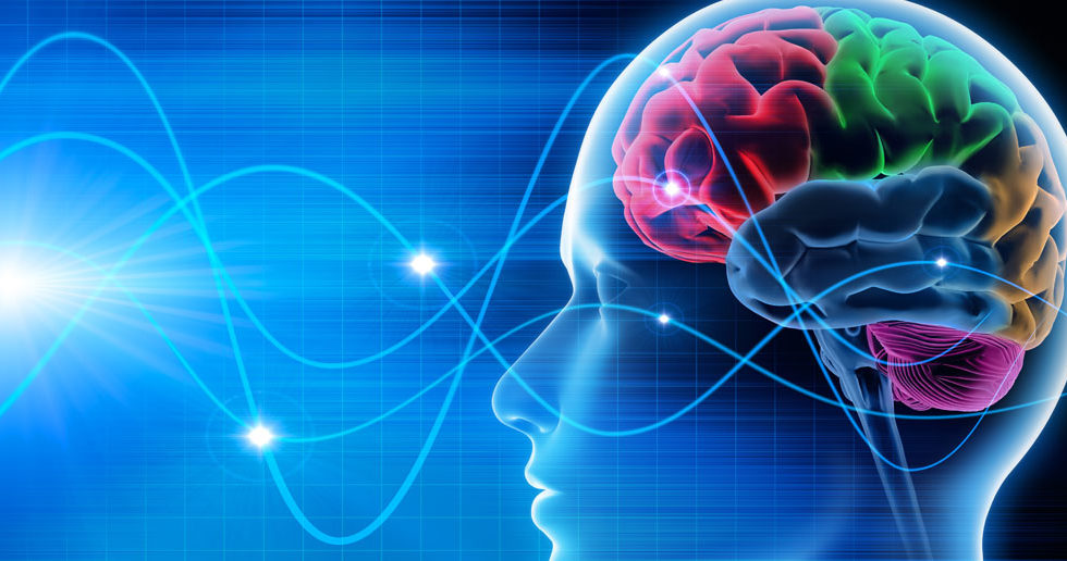 Brain Games Have No Beneficial Effect For Memory And Cognitive Function, A New Study Reveals