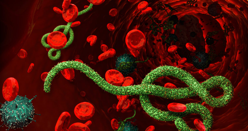 The Ebola Virus Can Survive In Human Sperm For More Than 2 Years And A Half