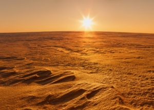 NASA’s Chief Scientist Reveals The Truth About Life On Mars
