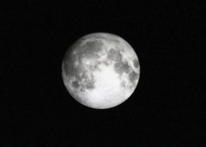 The Moon Could Have Housed Life On Two Occasions In Its Early History, About 3,5-4 Billion Years Ago