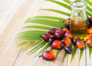 Palm Oil Linked To High “Bad Cholesterol” Levels And Cancer, According To Latest Studies