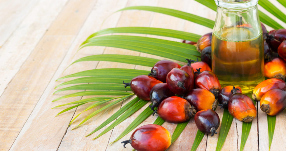 Palm Oil Linked To High “Bad Cholesterol” Levels And Cancer, According To Latest Studies