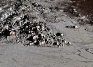 The First Topographic Maps Of Pluto And Charon Developed By Scientists