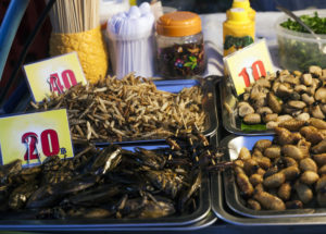 A New Clinical Test Shows That Consuming Insects Can Be Good for Your Gut