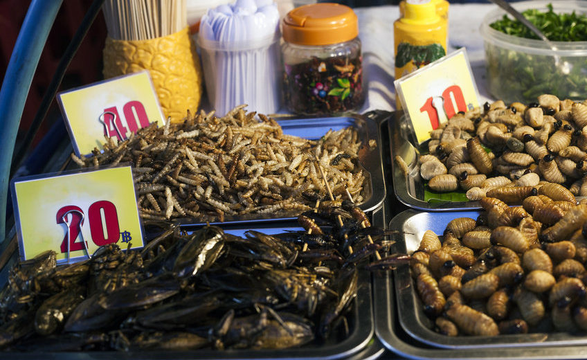 A New Clinical Test Shows That Consuming Insects Can Be Good for Your Gut