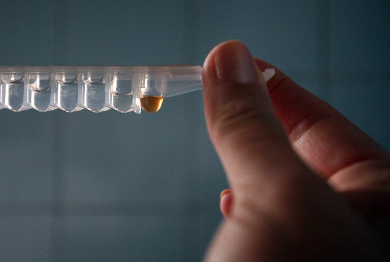 Health News: Child Vaccination Mandate in Italy Controversial Subject