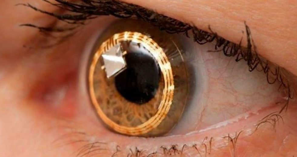 New Generation Of Artificial Retina Developed By Scientists, And Is Based On 2D Materials