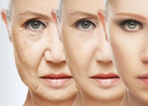 The Key to Fine Ageing Is Here
