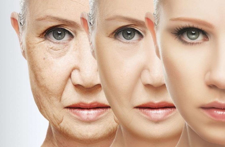 The Key to Fine Ageing Is Here