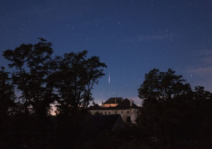 Witness the Spectacular Perseid Meteor at the Kerry Wood Nature Centre
