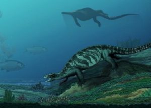 Ancient Turtle With No Shell Reveals Details On Reptile’s Evolution