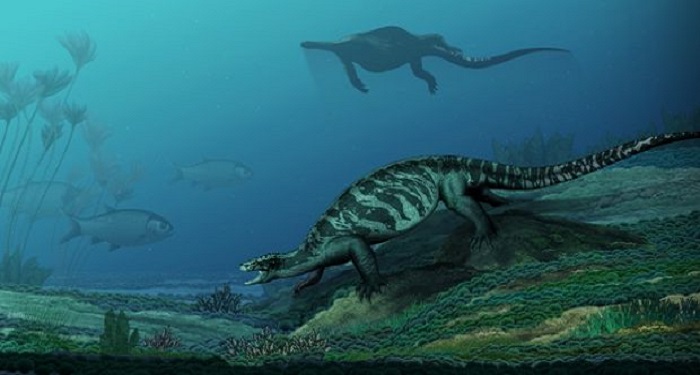 Ancient Turtle With No Shell Reveals Details On Reptile’s Evolution
