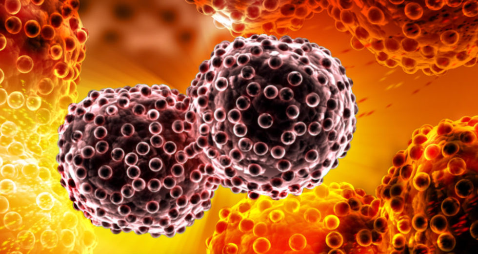 Cancer Cells Proliferation Halted By Blocking The NUAK2 Protein, Acoording To A Canadian Study