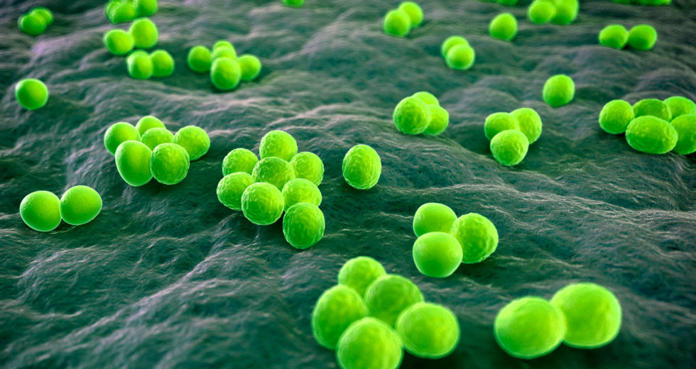 Light-Activated Oxygen To Kill Infections, Diseases, And Antibiotic-Resistant Bacteria