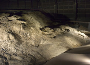 Saskatchewan Scientists Unearthed Several Multimillion-Year-Old Fossils, Including A Baby Elasmosaurus