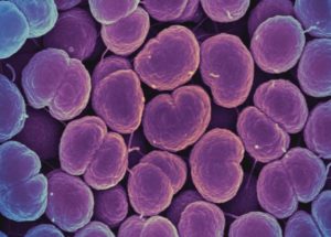 STD cases have increased in the past few years based on data from CDC